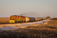 Click Here to see the photo!