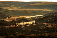 Click Here to see the photo!