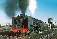 Click Here to see the photo!