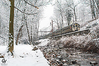 Click Here to see the photo!