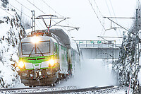 Click Here to see the photo!