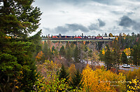 Click Here to see the photo!