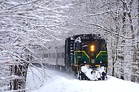 Click Here to see the photo!