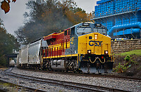 Click Here to see the photo!