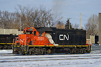 Click Here to see the photo!