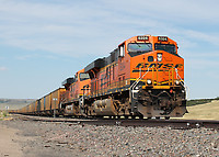 Click Here to see the photo!