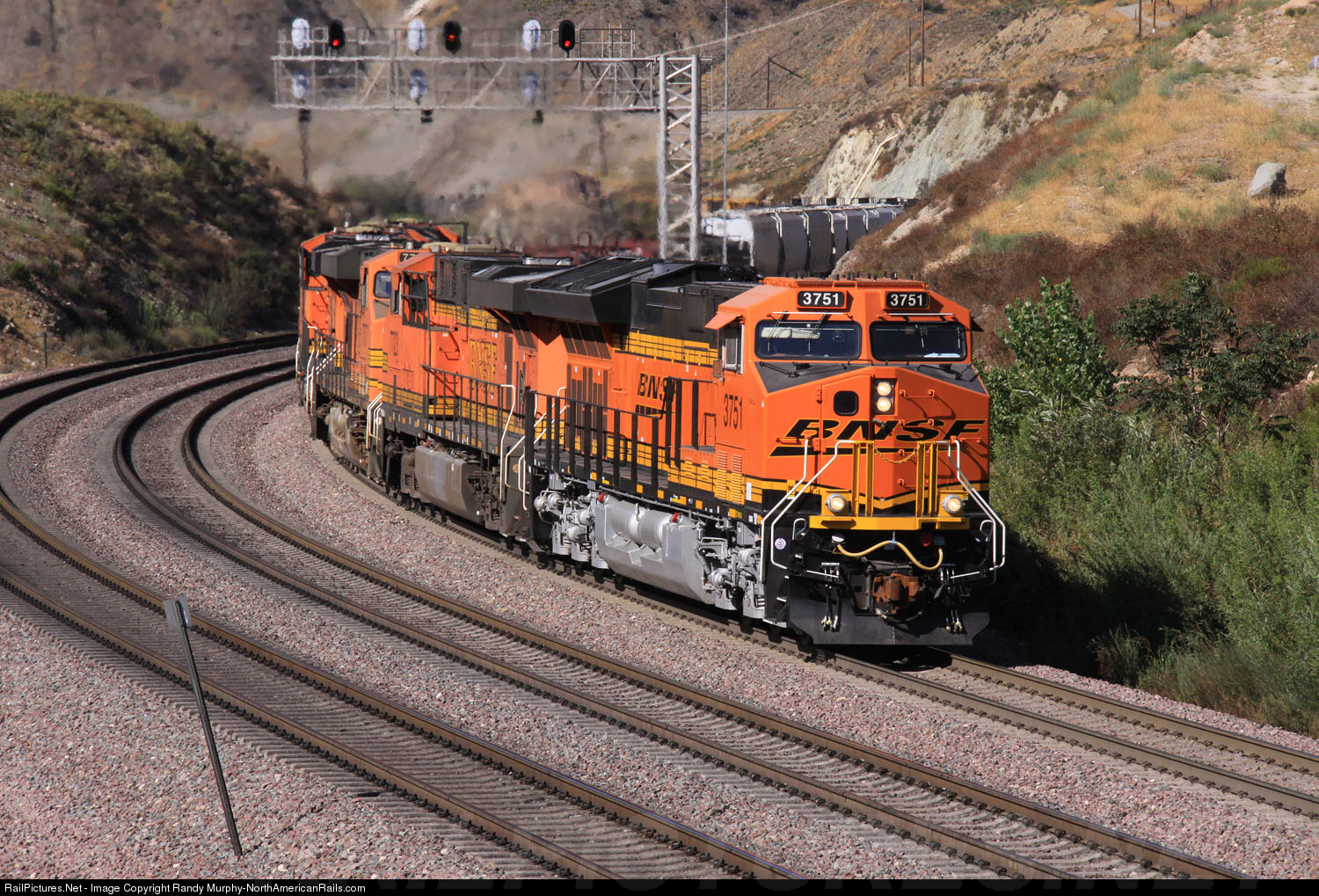 1161-1519101367-jpg