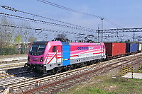 Click Here to see the photo!