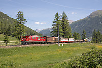 Click Here to see the photo!