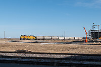 Click Here to see the photo!