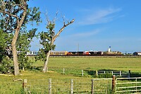 Click Here to see the photo!