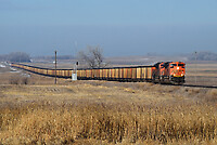 Click Here to see the photo!