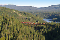 Click Here to see the photo!