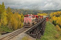 Click Here to see the photo!