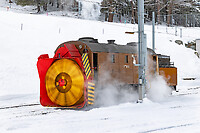 Click Here to see the photo!