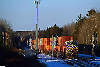 Click Here to see the photo!