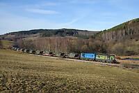 Click Here to see the photo!