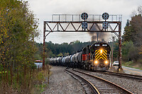 Click Here to see the photo!