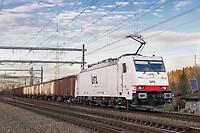 Click Here to see the photo!