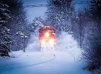 Click Here to see the photo!