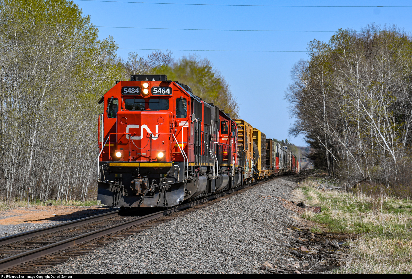 cn5484