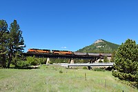 Click Here to see the photo!