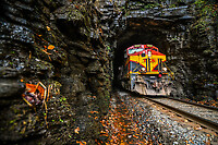 Click Here to see the photo!