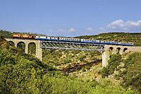 Click Here to see the photo!