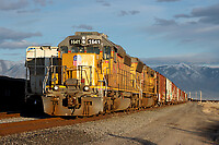 Click Here to see the photo!