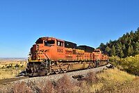 Click Here to see the photo!