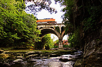 Click Here to see the photo!