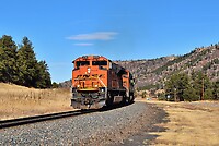 Click Here to see the photo!