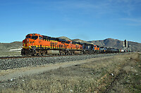 Click Here to see the photo!