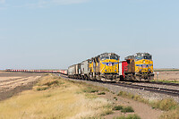 Click Here to see the photo!