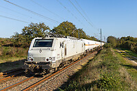 Click Here to see the photo!