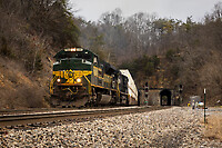 Click Here to see the photo!