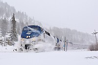 Click Here to see the photo!