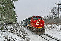 Click Here to see the photo!