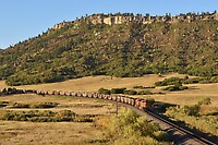 Click Here to see the photo!