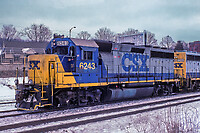 Click Here to see the photo!