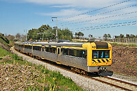 Click Here to see the photo!