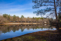 Click Here to see the photo!