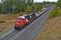 Click Here to see the photo!