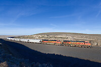 Click Here to see the photo!