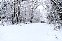 Click Here to see the photo!