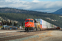 Click Here to see the photo!