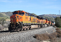 Click Here to see the photo!