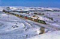 Click Here to see the photo!