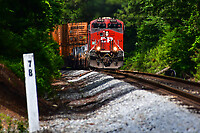 Click Here to see the photo!