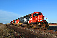 Click Here to see the photo!